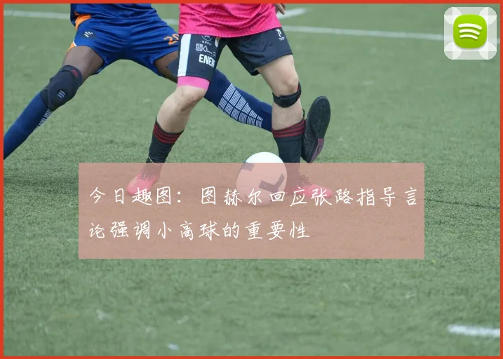 今日趣图：图赫尔回应张路指导言论强调小高球的重要性
