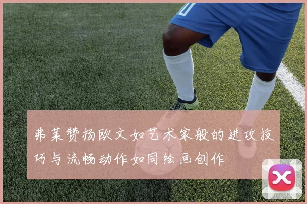 弗莱赞扬欧文如艺术家般的进攻技巧与流畅动作如同绘画创作
