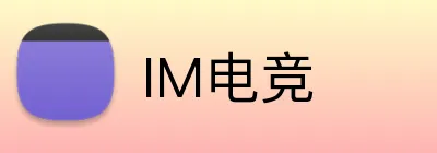 IM电竞 logo